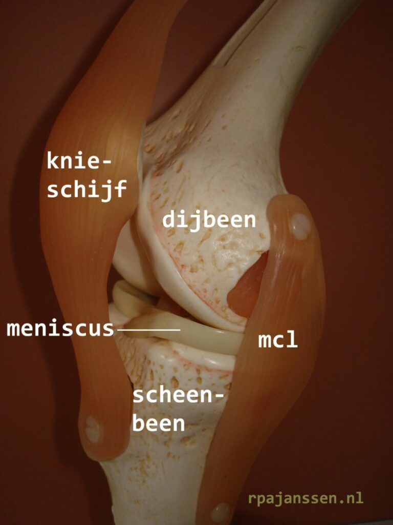 binnenband knie